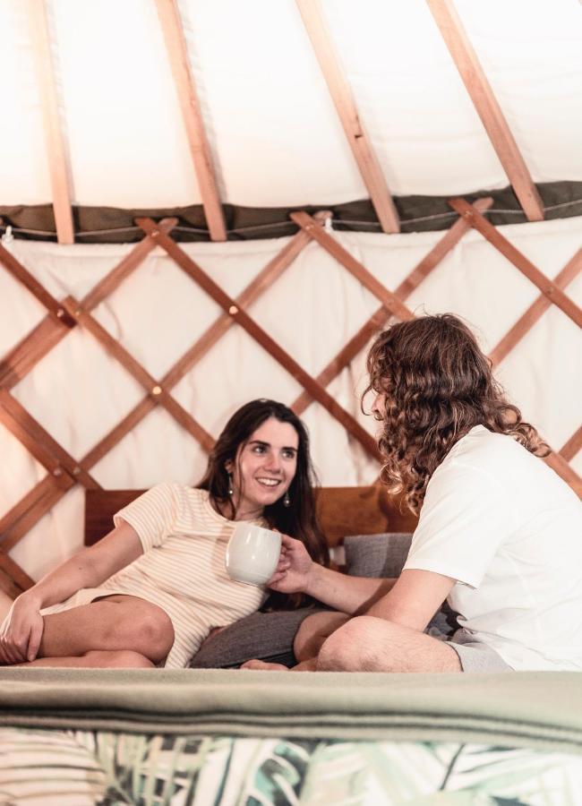 Oasis Yurt Lodge 瓦纳卡 外观 照片